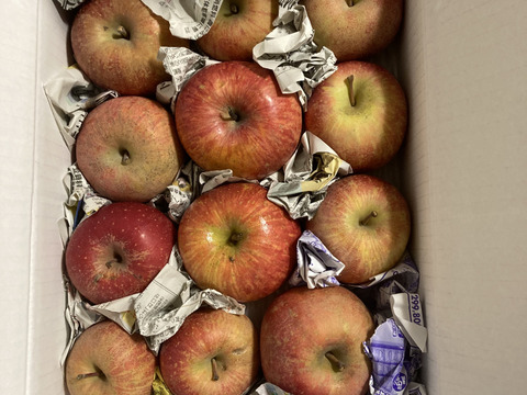 まるせい果樹園の節分りんご(春りんご)　訳あり　3㌔　自家用　家庭用 hs2