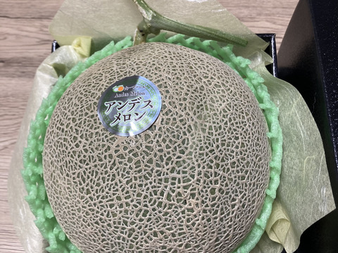 【母の日ギフト】厳選メロン1個化粧箱入り限定10箱