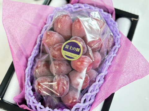 【数量限定】希少品種 大粒大房富士の輝一房詰め(約700g) 岡山県産 特秀ランク(熨斗対応可) 【夏ギフト】