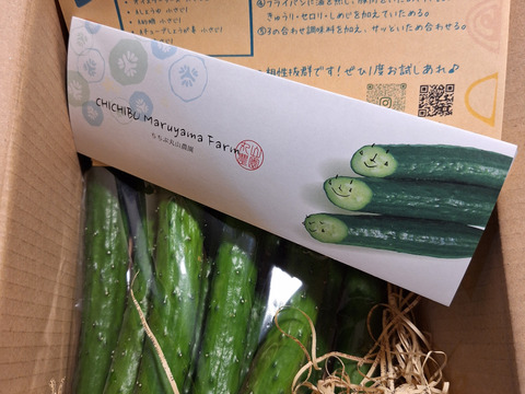 生でそのままガブリ！旨味にこだわった極旨秩父きゅうり良選【特別栽培、約1㎏】