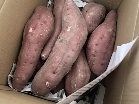 訳あり『さつまいも』遠州金時5㎏～土付き