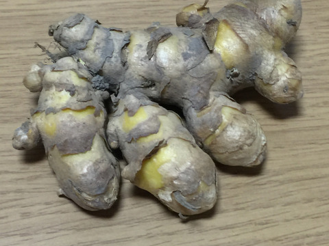 【春ウコン】農薬不使用 お買い得泥つき未選別