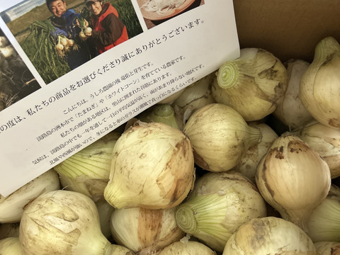 【小玉】淡路島 新玉ねぎ！丸ごと‼️使い切りにオススメ‼️5kg【ひょうご安心ブランド認証】特別栽培