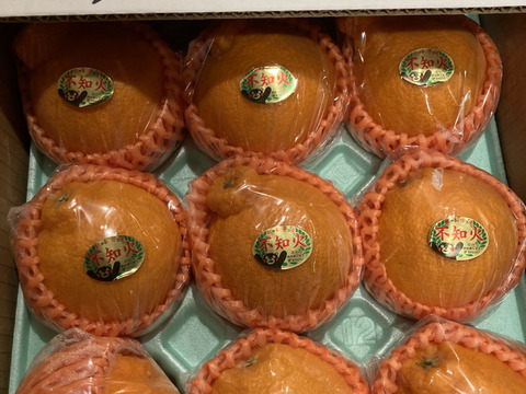 昨年大好評田辺農園不知火デコ柑約2,5k 12玉、13玉、15玉小玉