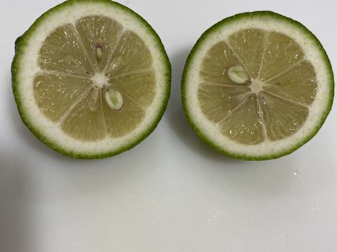 愛媛県産　瀬戸内　栽培期間中農薬不使用　国産　レモン　2kg（箱込み）