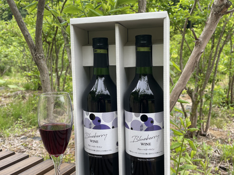 我が家の果実で作ったブルーベリーワイン720ml✖️2本