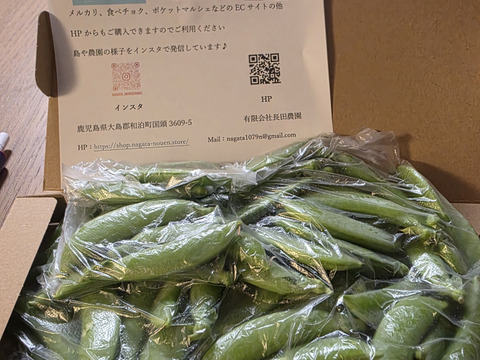 シャキシャキ甘い！沖永良部島産スナップエンドウA品　500ｇ