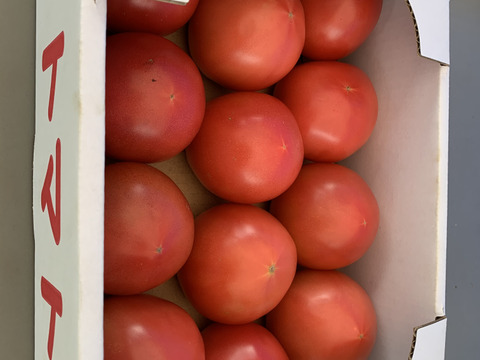 ジューシー完熟取りたて信州トマト（約2kg）