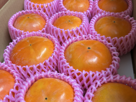 【柿の王】定番柿を極めた最高級の富有柿（3kg）熨斗対応可【冬ギフト】