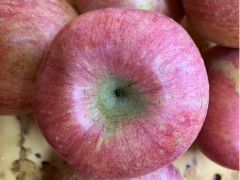 ご家庭用サンふじリンゴ　3kg