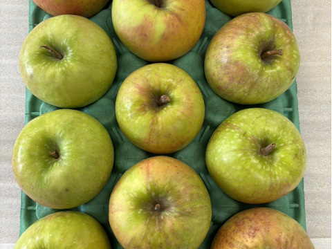 甘くない贅沢！これぞグラニースミス３㎏（７～１２玉）