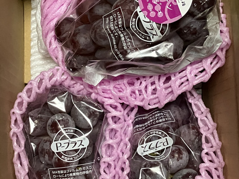 規格外！　長野県限定！数量限定！☆訳ありクイーンルージュ®︎☆ 家庭用２〜４房　１kg箱