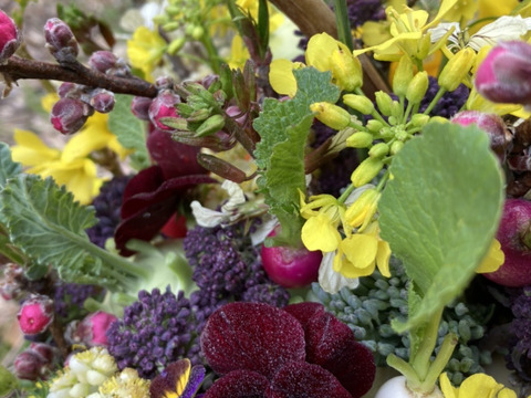 【期間限定】【春ギフト】花と野菜をミックスした ブーケ かごタイプ【カラフルなミニ野菜】【お誕生日】【開店祝い】【周年祝い】【お供え】