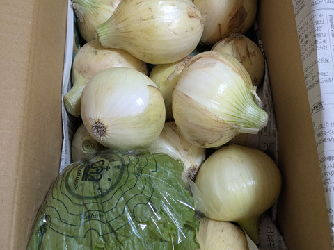 大好評，地層が違う淡路島、訳訳あり新玉ねぎスーパーアップ３キロ(風袋込み)