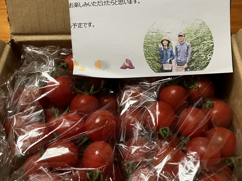 ☆北海道の甘っこ☆高糖度酸味旨味も揃った化学農薬不使用ミニトマト
