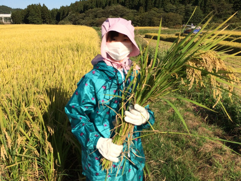 【青森・外ヶ浜ファーム直産】 はれわたり 10kg《大大大好評！！》地産地消・低農薬米