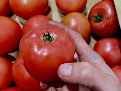 🍅復帰祭🍅ドドンと！お得な訳ありトマト約4kg (約15〜30玉)【福岡県産トマト】🍅