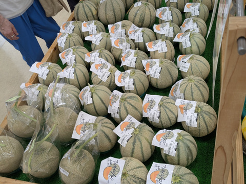 〜魅惑の甘さ〜マルセイユメロン🍈（3L〜4L1玉）