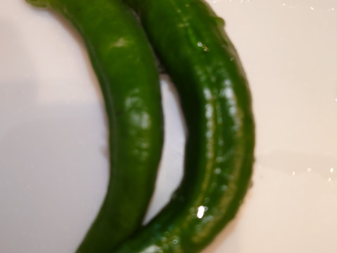 野菜ソムリエプロが作る旬の夏野菜セット