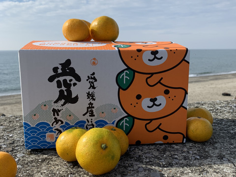 お歳暮･冬ギフト2025｜ギフト・贈り物はセブン 数量限定】えひめの”ゆるキャラ”みきゃん箱”でお届け 愛媛県産 果物