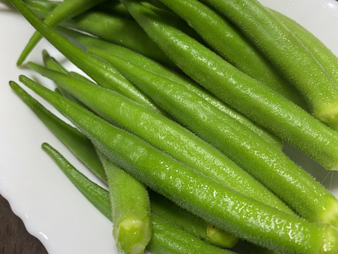 五年間種を取り繋いできた！やまと屋農園オリジナルオクラ500g