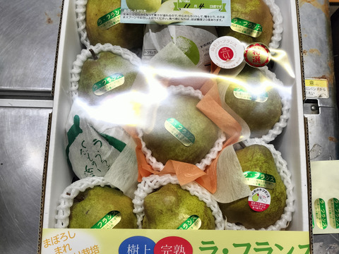 とろける甘さのラフランス　山形特産！大玉サイズ、３キロ(8~9玉)　お歳暮、贈り物にも　ラ・フランス「熨斗対応可」