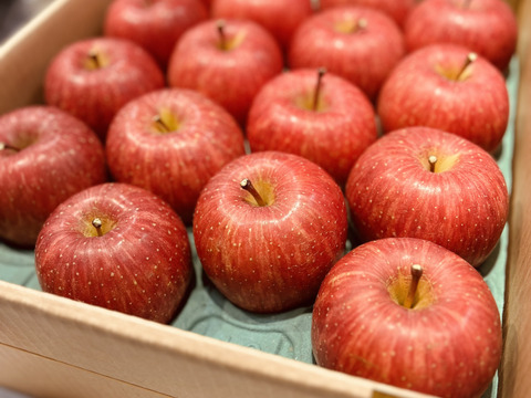 【コンテスト特別賞✨受賞園地】山形県産サンふじりんご【特秀3キロ】熨斗対応致します