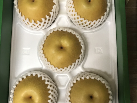 大豊作‼️300円引き【繊細なシャリ感とあふれる果汁‼️】PREMIUMあきづき梨3.0kg(特大5~7個)✨️ 上品な甘さ、酸味が少なく歯触りのいい梨🍐果汁たっぷり桃のような風味が特長