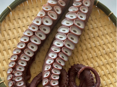 【インパクト大！】北海道白老産　活茹で水だこ（足）1㎏1本【1本真空加工】