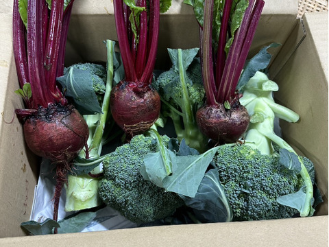 栄養満点！ブロッコリーとビーツのスーパーフードセット