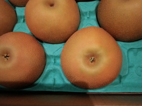 【南水3ｋｇ】糖度15°、超甘い、シャリ感、硬い、ジューシー、日保ちする信州生まれの優れもの！⑨【秀品】