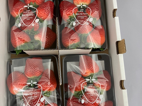 ２～３月限定！極甘！濃厚！特大！広島県北広島町産おいCベリーDXサイズ６粒入り×４P