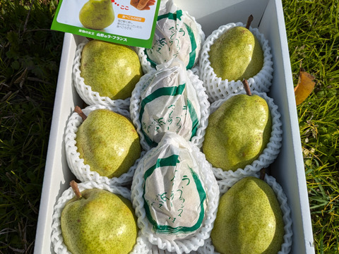 果物の女王ラ・フランス　特秀　大玉4L　約3kg