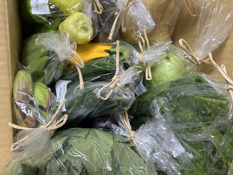 自然栽培野菜Mセット7～9種類