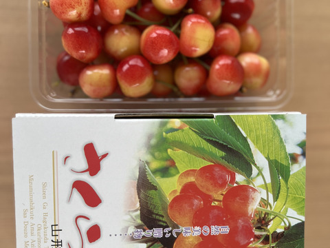 ※残り３箱※早い者勝ち　山形県産　紅王　訳あり　2L〜5L　家庭用