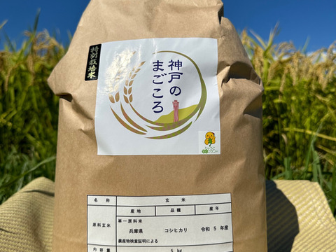 特別栽培米　神戸のまごころコシヒカリ　玄米　５kg
