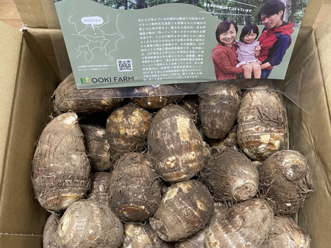 落ち葉堆肥でじっくり育ったしっとり里芋3キロ【農業遺産】