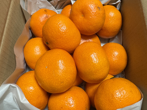 【お試し/少人数】S~Mサイズ1kg:とみ子ばぁばの有田みかん