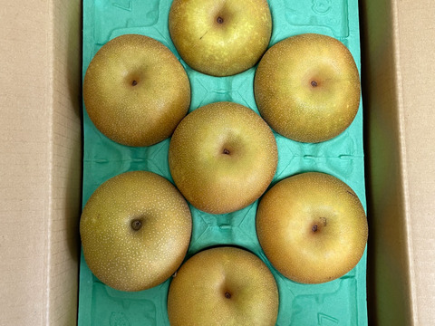 【幸水３ｋｇ】高原の「幸水」は硬さ、シャリ感、ジューシー、甘さが違う。⑧海藻エキス投与で、コクと旨味のある梨にグレードアップ！【秀品】