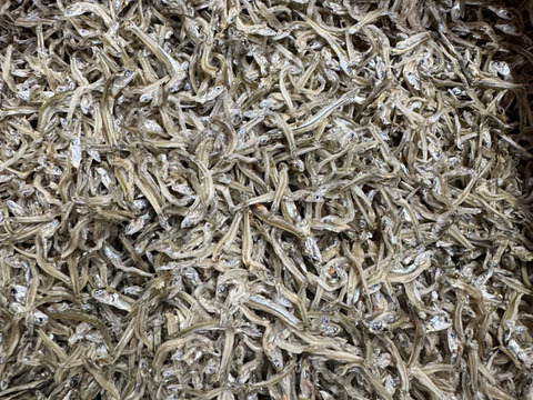 新物！ちりめん　お徳用　１ｋｇ　かえりより小さいちりめんより大きい