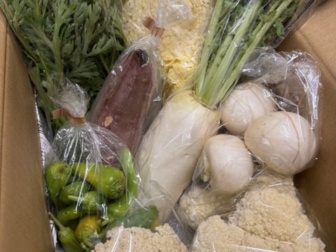 カリフローレ3袋+旬の野菜6袋　☆農業始めて以来、農薬や化学肥料を使っておりません☆彡