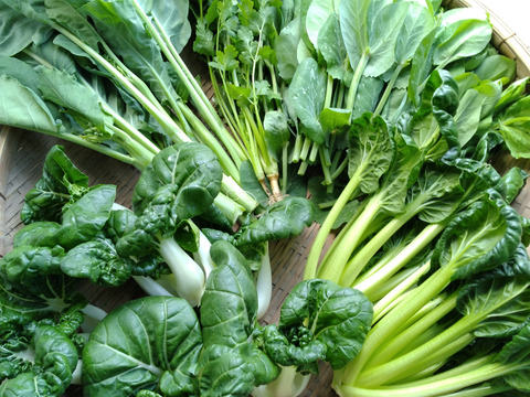 川辺農園 アジア野菜おまかせセット（4～6種類）中国野菜