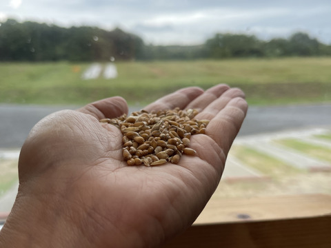【小麦農家の朝食パン】バラエティ食パン４本！週１パンセット