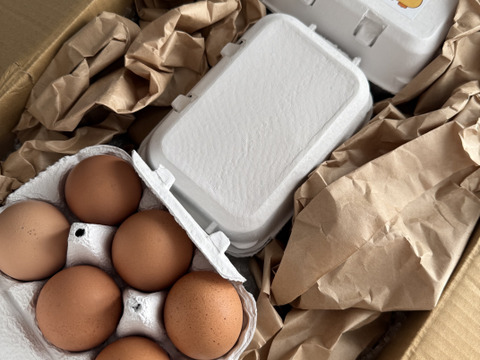 平飼いの美味しいたまご『規格外たまご100個』超お得！！【不定期】