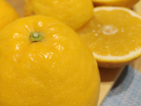 季節の柑橘【食べ比べ】2kg（箱込）