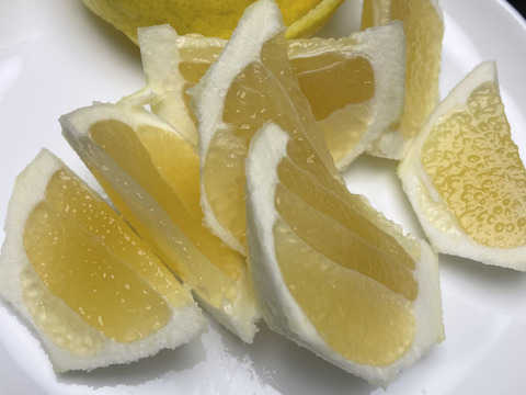 白い皮が美味しい日向夏(たねなし)