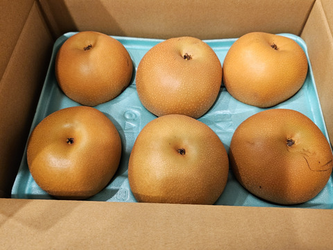 家庭用　あきづき梨　3kg　あま〜〜い梨