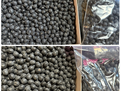 🎍初売り🎍丹波黒大豆　５００ｇ（250g×2袋）　　　　　　　ウマい🐴黒豆食べて「今年もまめ（健康）に過ごしましょう