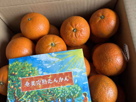 【2月限定】光センサー選果機で厳選！奄美完熟たんかん5kg