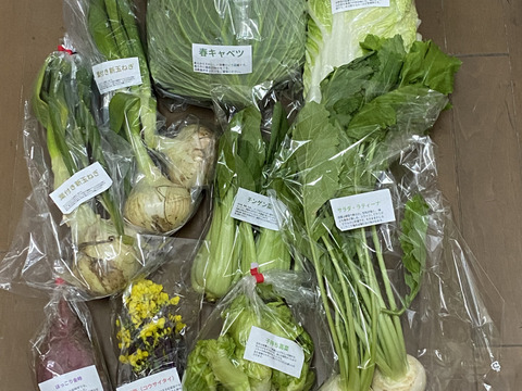 【淡路島より旬をお届け】お任せ野菜セットMサイズ